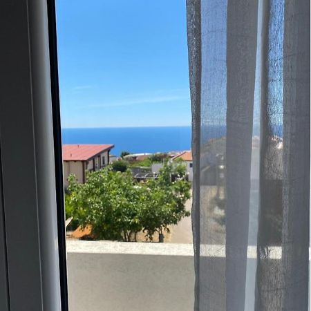 Apartments Wild Beauty - Krimovica Budva Luaran gambar