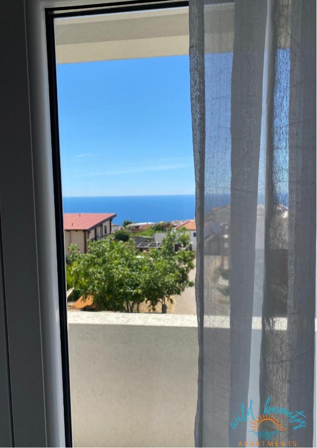 Apartments Wild Beauty - Krimovica Budva Luaran gambar